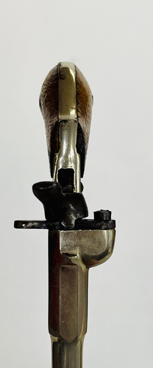 Pistolet cycliste -photo-1